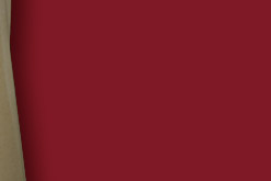 Cote d' Azur in Bilder und Photos, von Nizza, Cannes, Monaco und Saint-Tropez