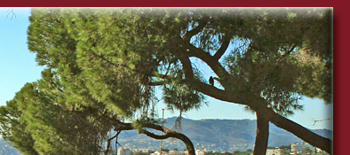 Altstadt Cannes mit Blick aufs Meer von Notre Dame de l´Esperance, Bild 2 von 6