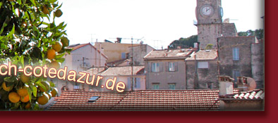 Cannes Orangenbaum und im Hintergrund der alte Kirchturm von Cannes, Bild 6 von 6