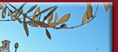 Cannes Busbahnhof in der Altstadt von Cannes Le Suquet, Bild 2 von 6