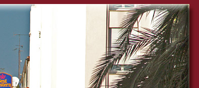 Cannes, internationale Filmstars an Hauswänden künstlerisch verewigt, Bild 2 von 6