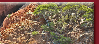 Das Mittelmeer an der Cote d' Azur, türkis farbenes Meer umgibt die Cote d' Azur, Bild 2 von 6