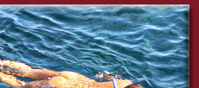 Die Cote d' Azur, stille naturbelassene Buchten gibt es noch an der Cote d' Azur, Bild 2 von 6