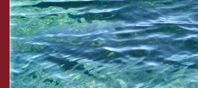 Die Cote d' Azur, stille naturbelassene Buchten gibt es noch an der Cote d' Azur, Bild 3 von 6