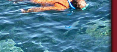 Die Cote d' Azur, stille naturbelassene Buchten gibt es noch an der Cote d' Azur, Bild 4 von 6