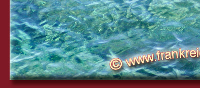 Die Cote d' Azur, stille naturbelassene Buchten gibt es noch an der Cote d' Azur, Bild 5 von 6