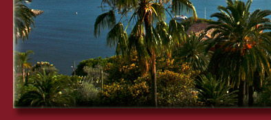 Die Cote d' Azur hat sehr viele Sehenswürdigkeiten, die Cote d' Azur muss man erleben, Bild 5 von 6