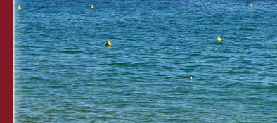 Die Cote d' Azur, im Hintergrund eine der vielen Inseln vor der Cote d' Azur, Bild 3 von 6