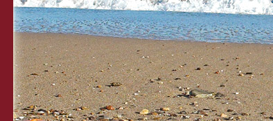 Cote d' Azur, Strand in Frejus an der Cote d' Azur in Südfrankreich am Mittelmeer, Bild 3 von 6