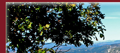 Gorge du Verdon, Grand Canyon du Verdon in Südfrankreich am Mittelmeer, Bild 1 von 6