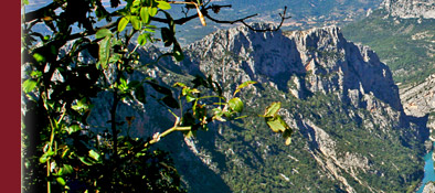 Gorge du Verdon, Grand Canyon du Verdon in Südfrankreich am Mittelmeer, Bild 3 von 6