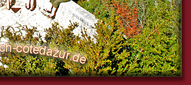 Blick in die Tiefe der Schluchten, Gorge du Verdon, auf den Fluss Verdon in Südfrankreich, Bild 6 von 6