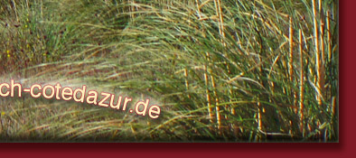 Grimaud, Blick aus der Ferne auf Grimaud mit der Burgruine an der Cote d' Azur, Bild 6 von 6