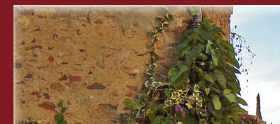 Grimaud, enge Gässchen, vielfältige provenzalische Blütenpracht an der Cote d' Azur, Bild 1 von 6