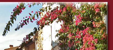 Grimaud, enge Gässchen, vielfältige provenzalische Blütenpracht an der Cote d' Azur, Bild 2 von 6