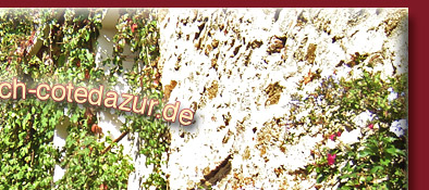 Grimaud, alt gepflasterte Treppe mit hübsch gesäumten Häusern im Licht der Sonne, Bild 2 von 6