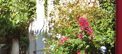 Grimaud, alt gepflasterte Treppe mit hübsch gesäumten Häusern im Licht der Sonne, Bild 4 von 6