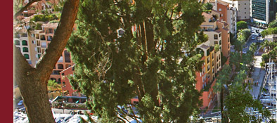 Monaco, Blick vom Fürstenpalast auf das Neubaugebiet in Monaco, Bild 3 von 6