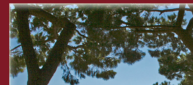 Blick vom Palastfelsen des Fürstentums Monaco an der Cote d' Azur, Bild 1 von 6