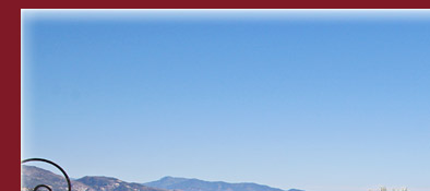 Monaco und einer seiner vielen tropischen exotischen Gärten, Bild 1 von 6