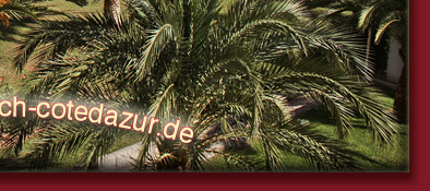 Monaco und einer seiner vielen tropischen exotischen Gärten, Bild 6 von 6