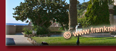 Jacques Cousteau Museum in Monaco an der Cote d' Azur, Bild 5 von 6