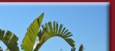 Sainte-Maxime Strand, feiner Sandstrand in Sainte Maxime im Golfe de Saint-Tropez, Bild 2 von 6