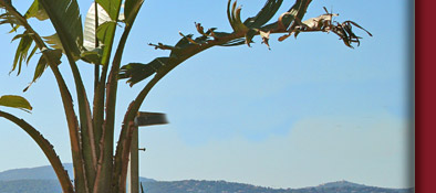 Sainte-Maxime Strand, feiner Sandstrand in Sainte Maxime im Golfe de Saint-Tropez, Bild 4 von 6