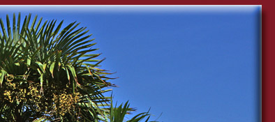 Sainte-Maxime ein blühender Garten in Südfrankreich an der Cote d' Azur, Bild 2 von 6