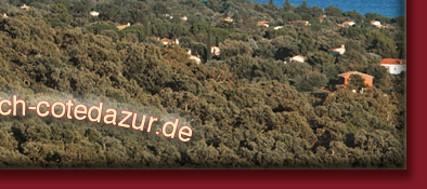 Saint-Tropez, zu sehen Golfe de Saint-Tropez  und der Ort Saint-Tropez, Bild 6 von 6