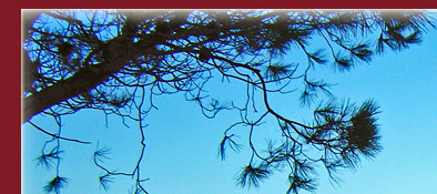 Saint-Tropez mit Blick von der Citadelle über Saint-Tropez in die Bucht, Bild 1 von 6