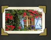 romantisches Häuschen mit hübscher Pflanzendekoration in Grimaud am Mittelmeer