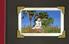 Sainte-Maxime ein blühender Garten in Südfrankreich an der Cote d' Azur